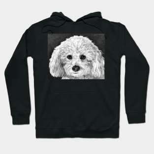 Bella Hoodie